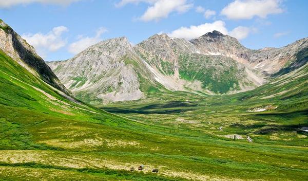 В БУРЯТИИ НА ХРЕБТЕ БОЛЬШОЙ САЯН НАЙДЕНЫ СЛЕДЫ СНЕЖНОГО БАРСА