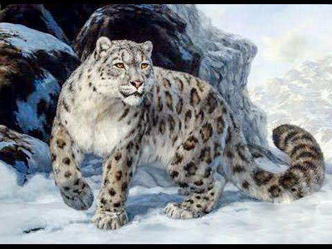 WWF БУДЕТ ЛОВИТЬ БРАКОНЬЕРОВ В БУРЯТИИ С ПОМОЩЬЮ ММС