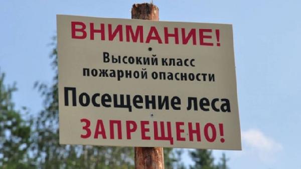 Отчет о пожарной обстановке на ООПТ регионального значения