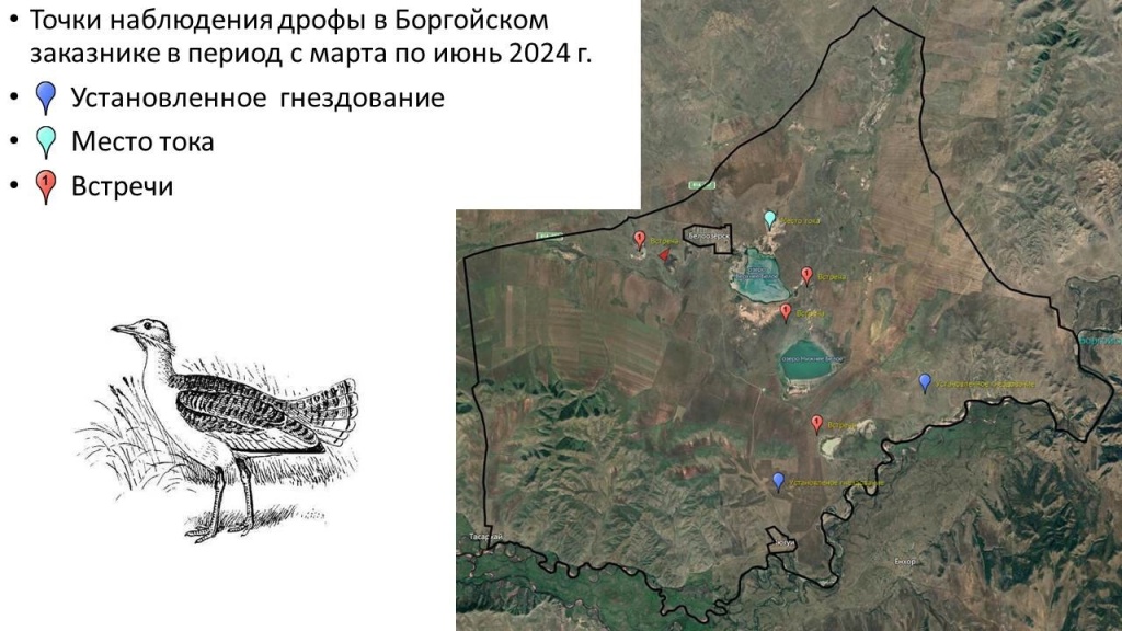 896ZnBbPJhI.jpg