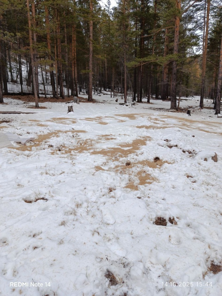 IMG_20251020_213557_545 (1).jpg