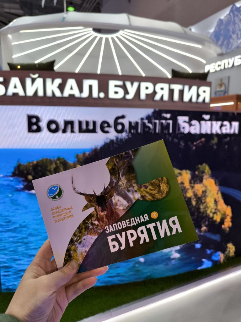 IMG_20240116_235612_455.jpg