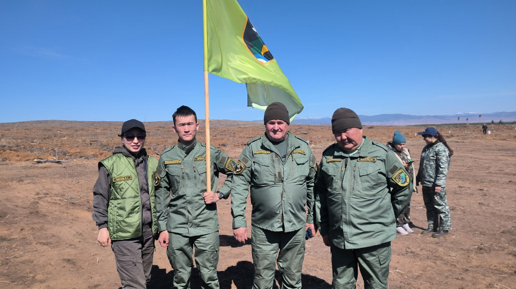 mTaxIWDivnw.jpg
